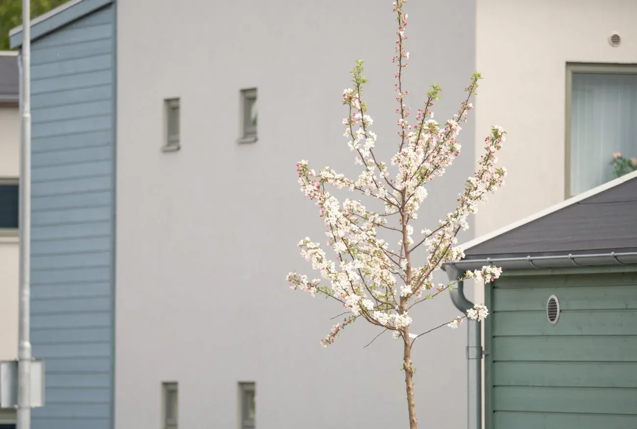 Modern 3 rok med loftgångsbalkong på plan 2!