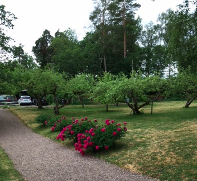 Uppsala - 7rok - tillsv - 28.750kr/mån