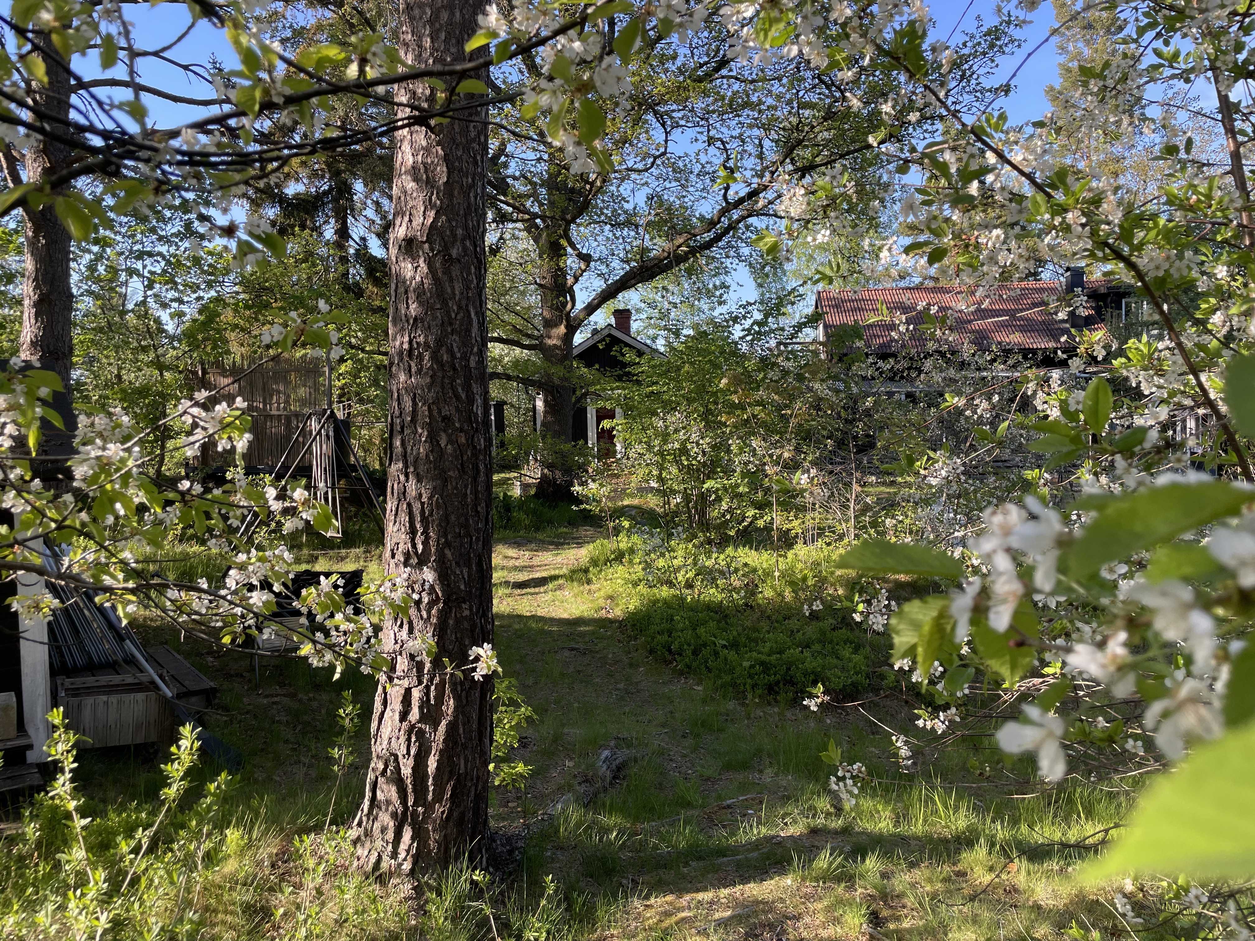 Mysig stuga på ö nära Stockholm C