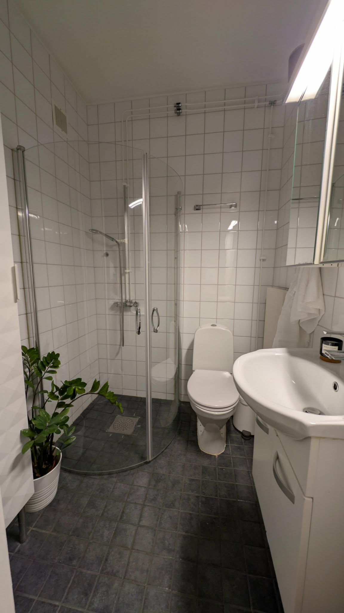 Fin och välbelägna etta på centrala väster