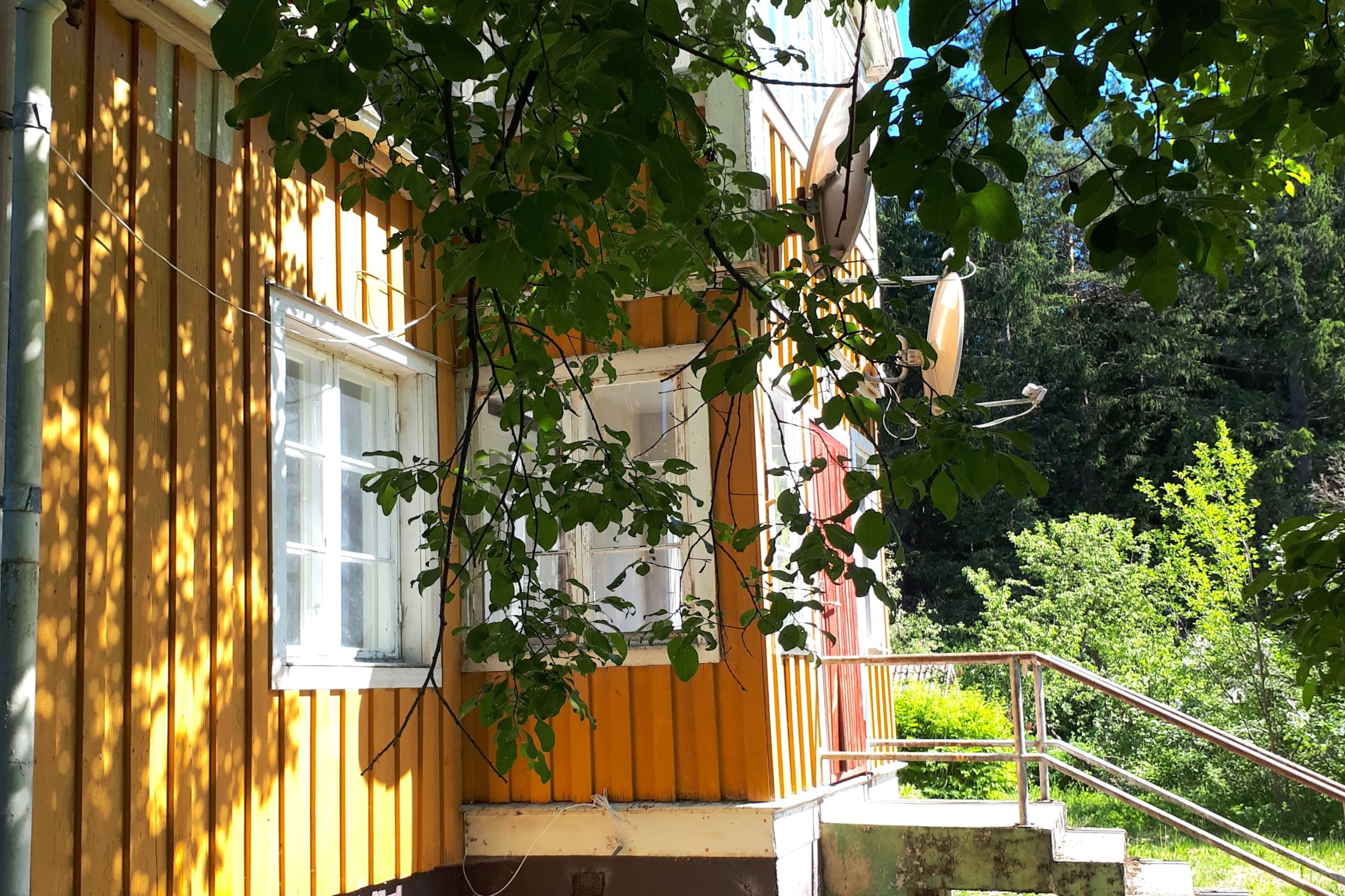 Parhustrea i markplan med skogsnära trädgård och uteplats
