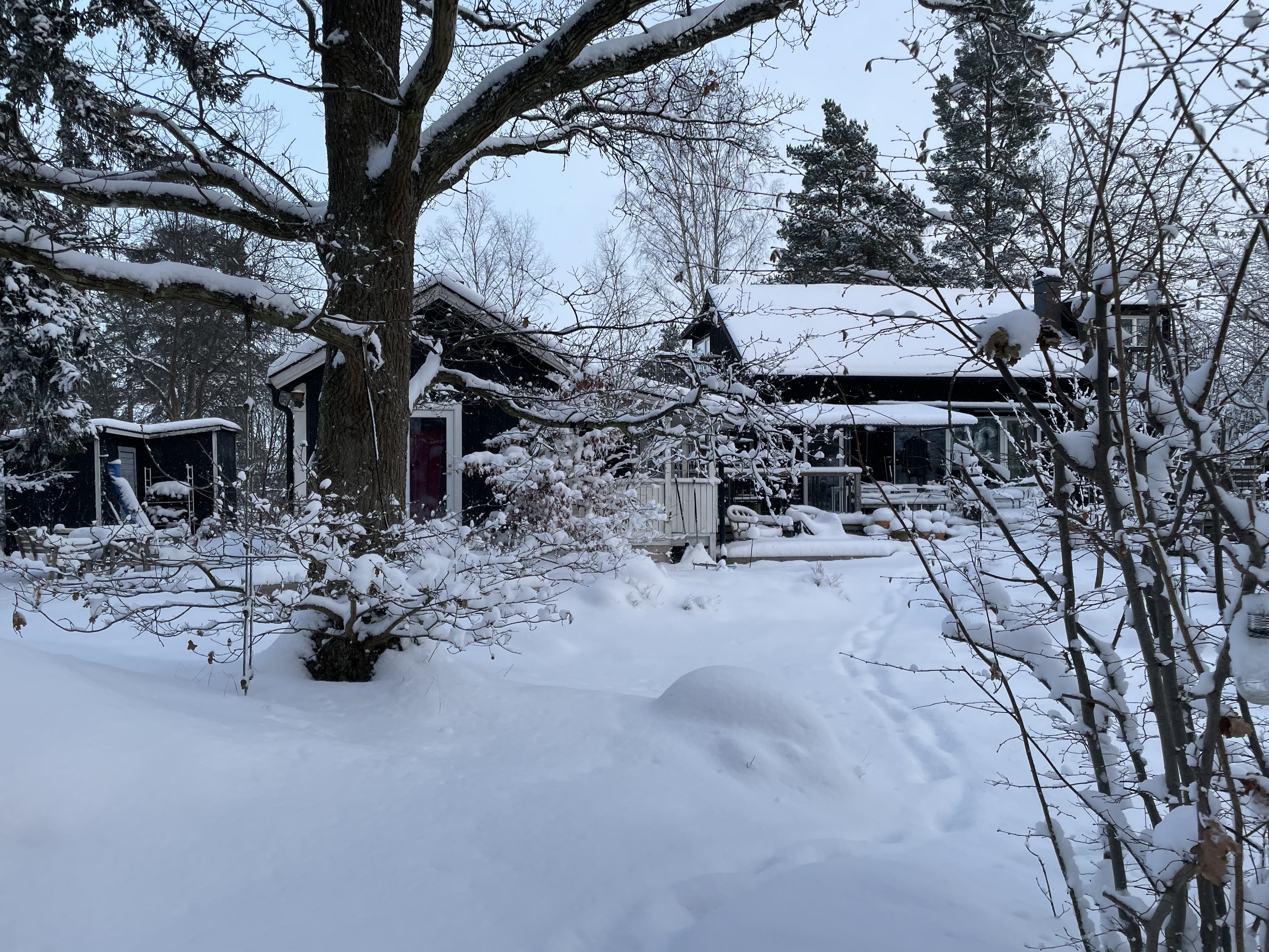 Mysig stuga på ö nära Stockholm C
