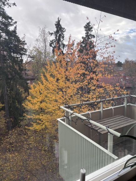 Bromma - 2rok - 12mån - 16 999 kr/mån