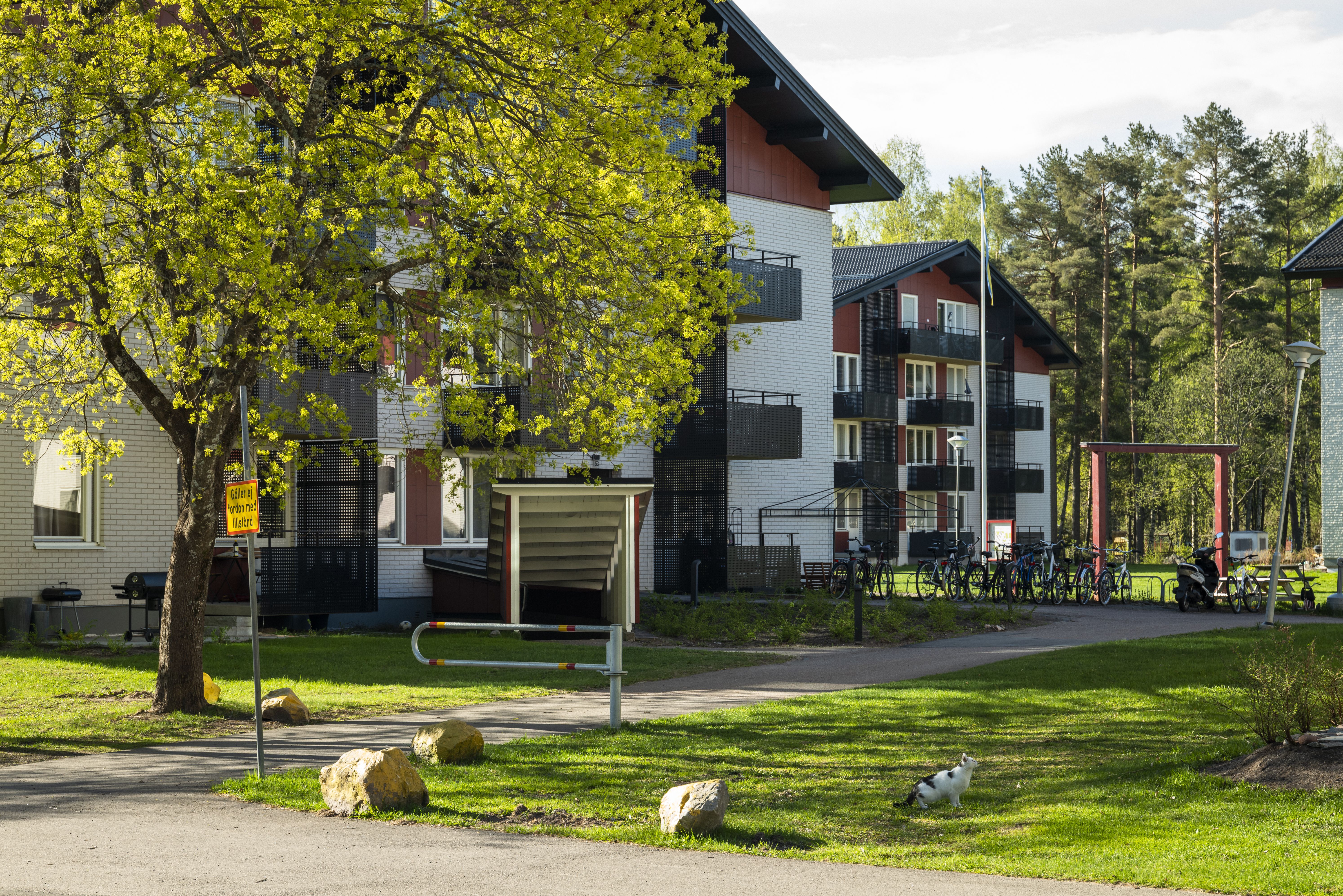 3 rums lägenhet i FALUN