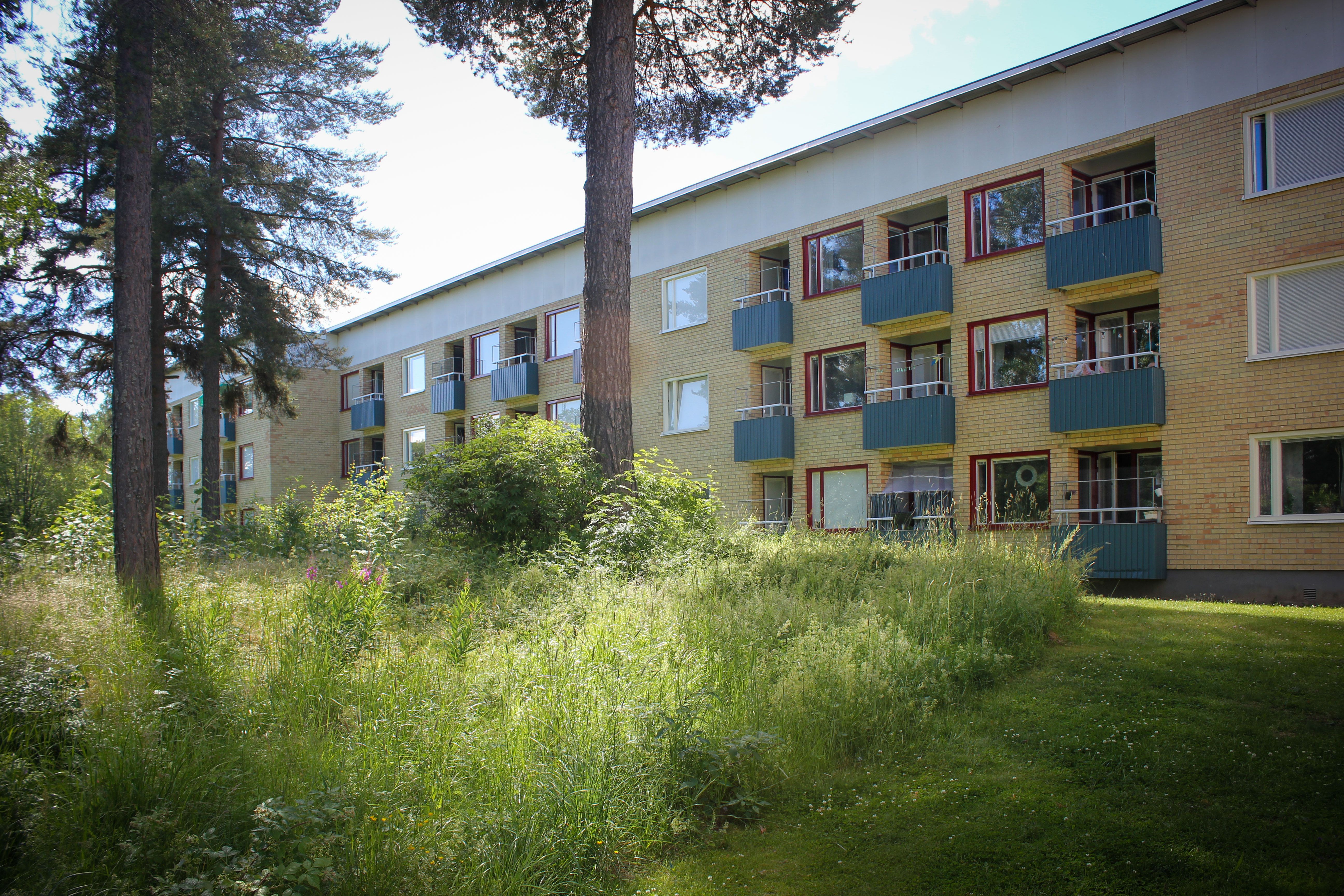 1 rums lägenhet i Bollnäs