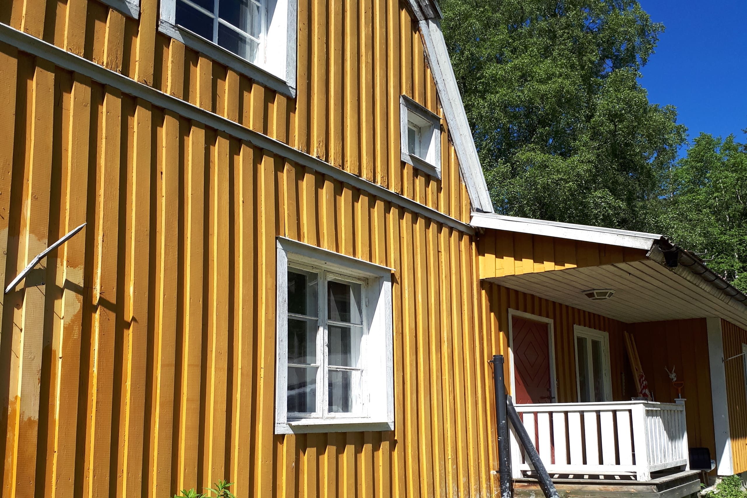 Parhustrea i markplan med skogsnära trädgård och uteplats