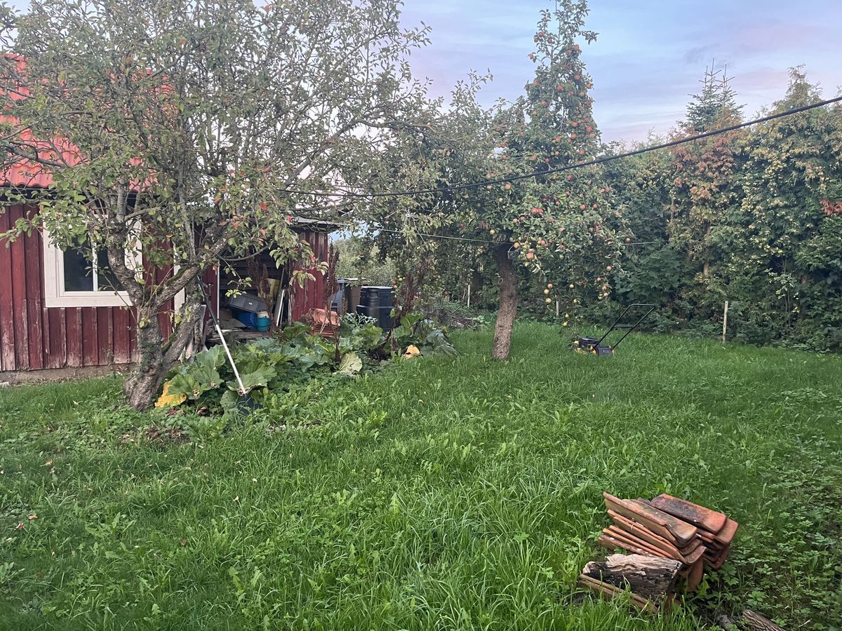 Charmigt mindre hus – lugnt läge med privat trädgård