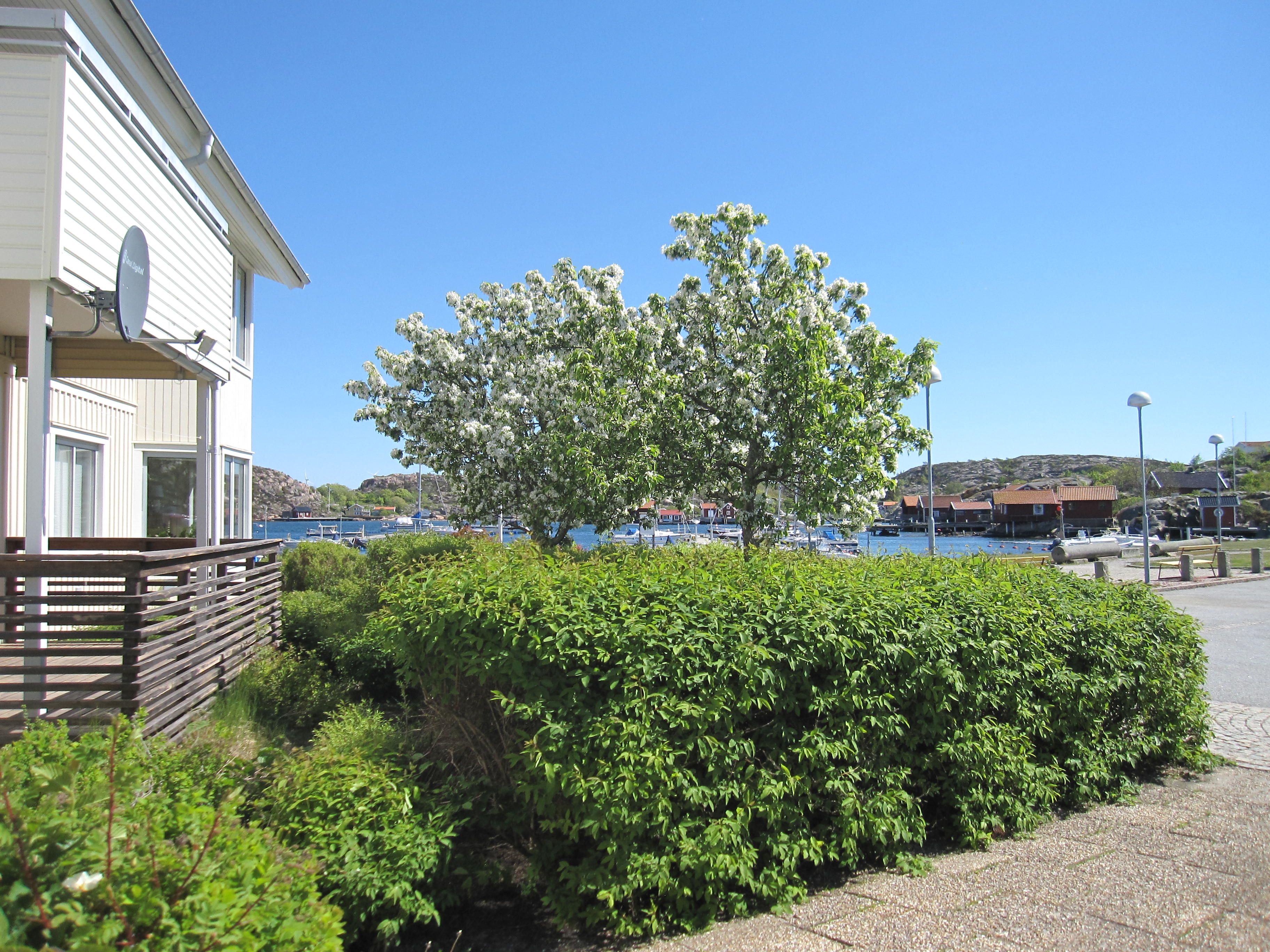 2 rums lägenhet i Bohus-malmön