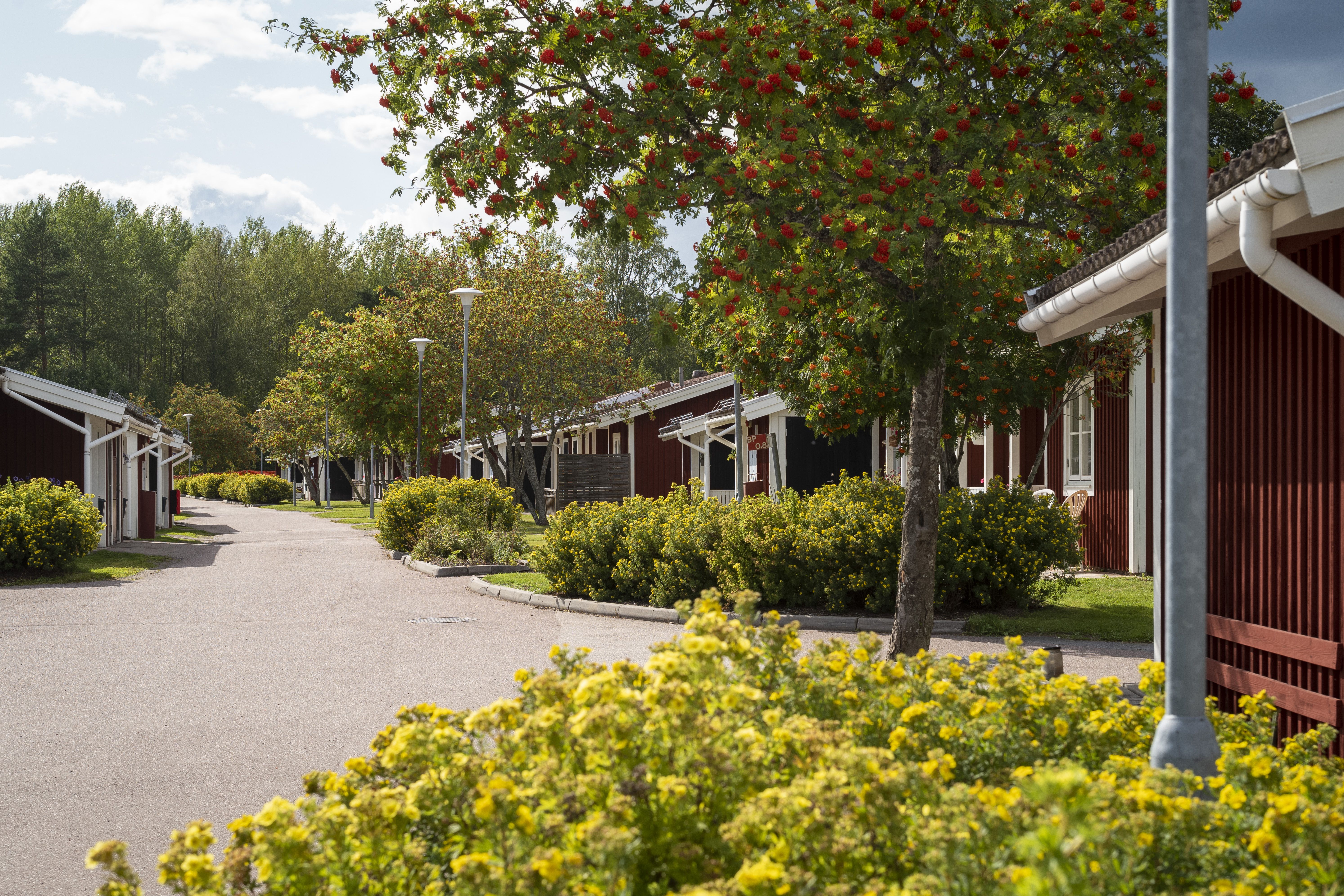 1 rums lägenhet i SVÄRDSJÖ