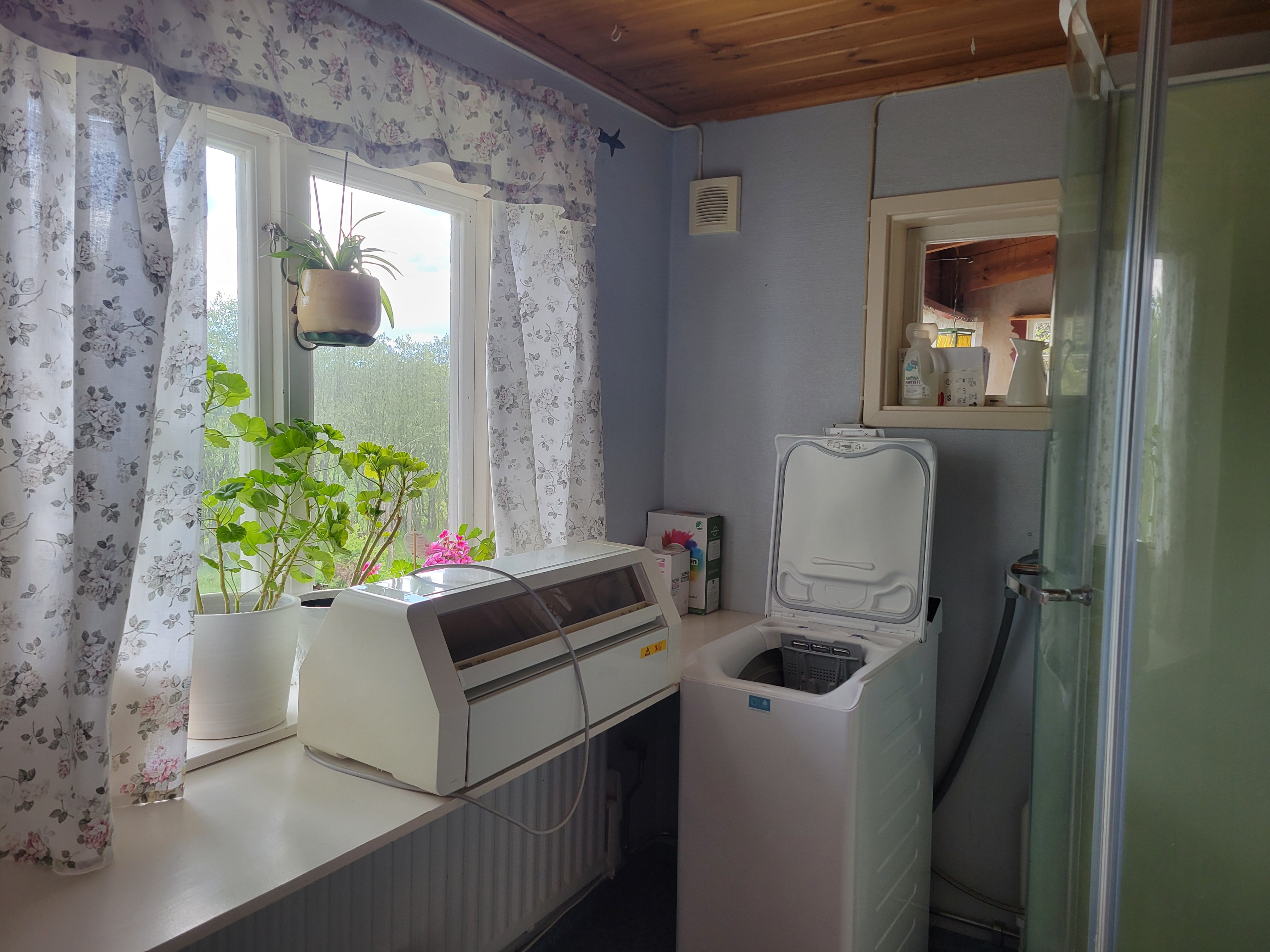 Mysigt rum i hus på landet med katter