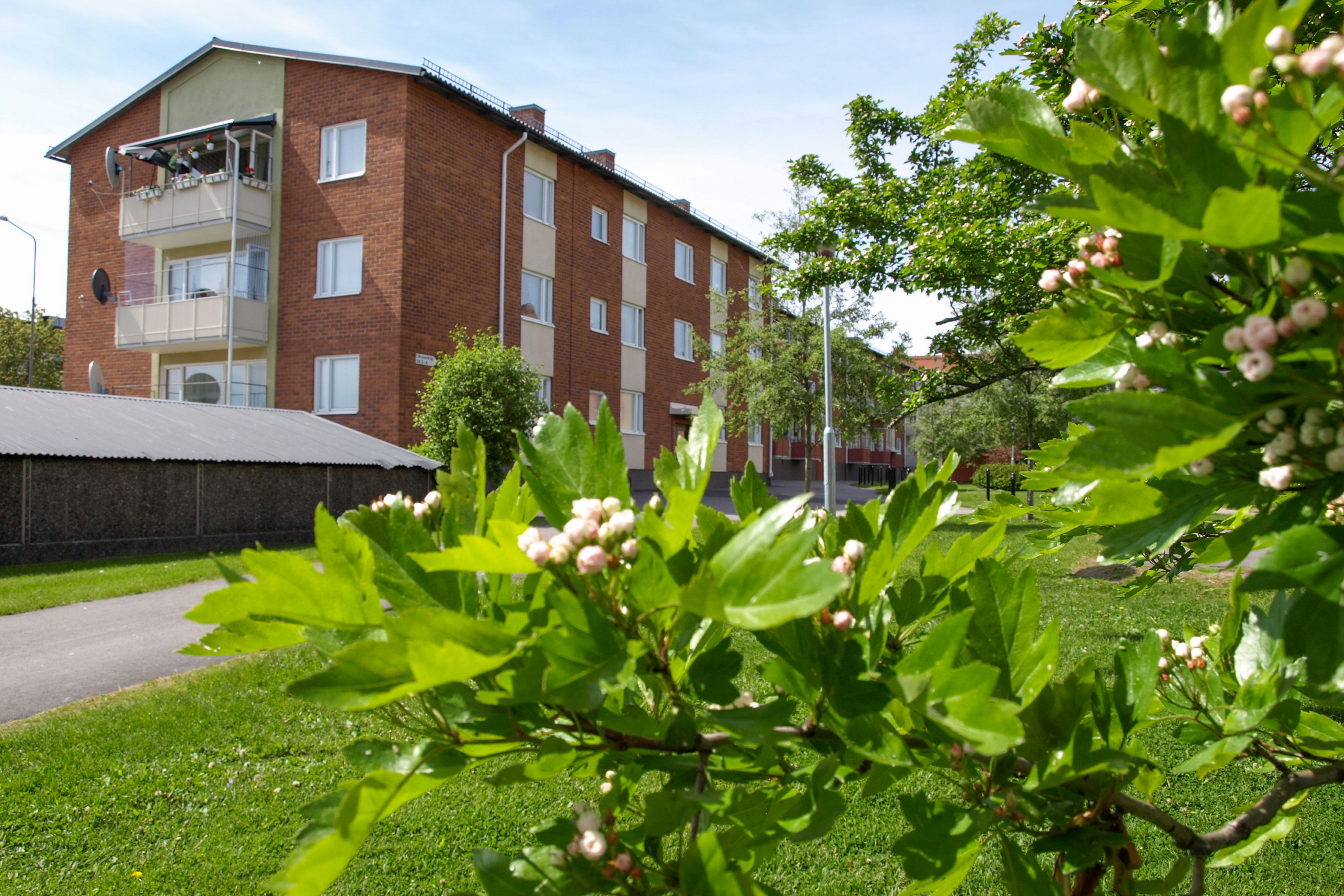 3 rums lägenhet i Bollnäs