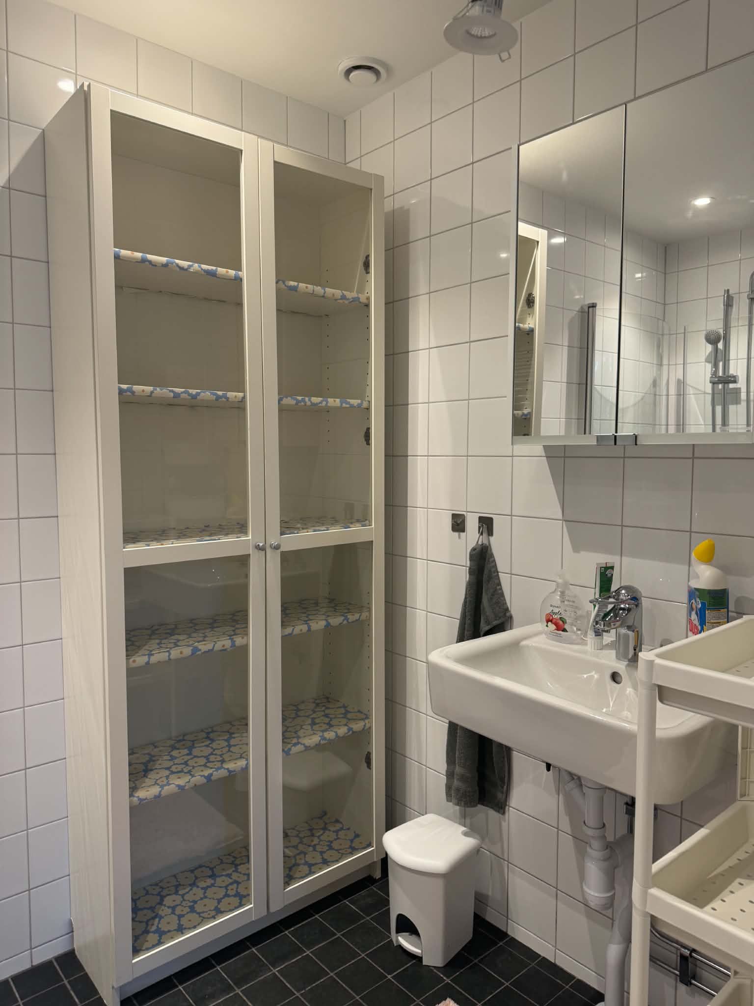 Mysig och möblerad bostadsrätt uthyres –