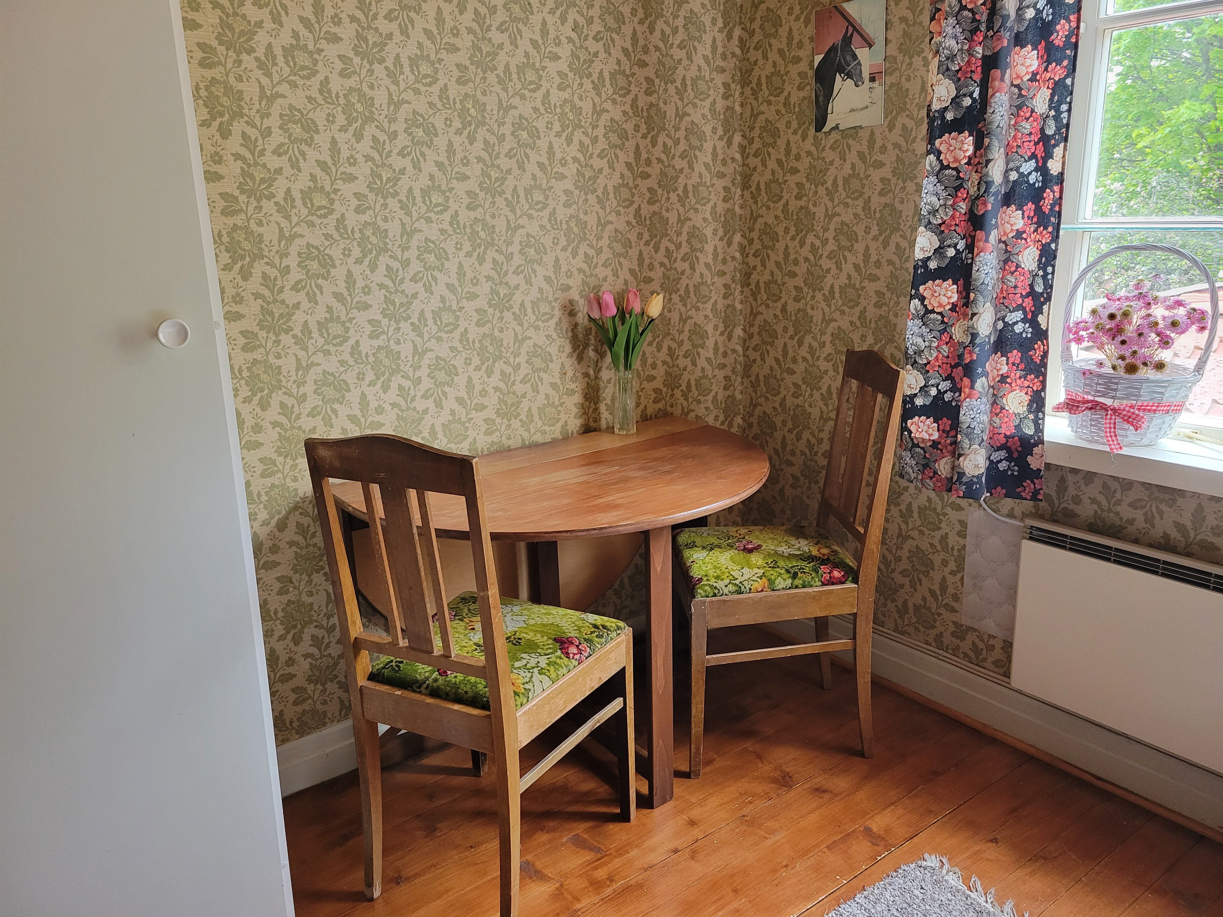 Mysigt rum i hus på landet med katter